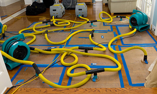 Professional Flood Damage Restoration technician working in Las Vegas, NM
